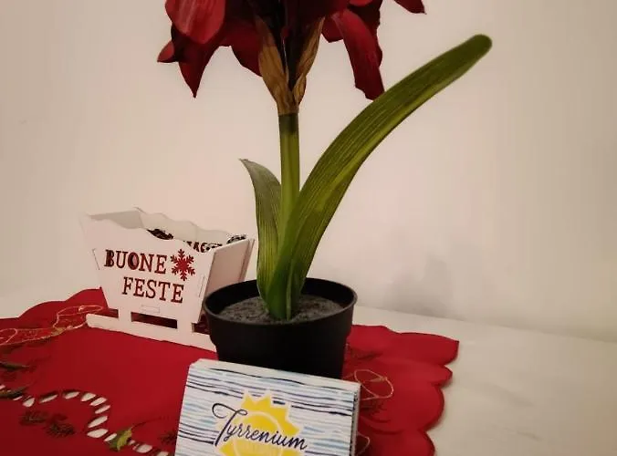 住宿加早餐酒店 Tyrrenium